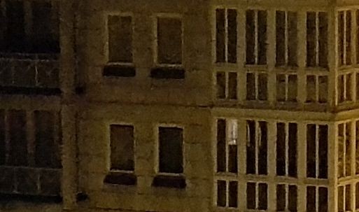 In den vergr&ouml;&szlig;erten Details ist zu erkennen, dass die Schatten beim Galaxy S7 Edge besser ausgeleuchtet sind, ... (Bild: Tobias K&ouml;ltzsch/Golem.de)